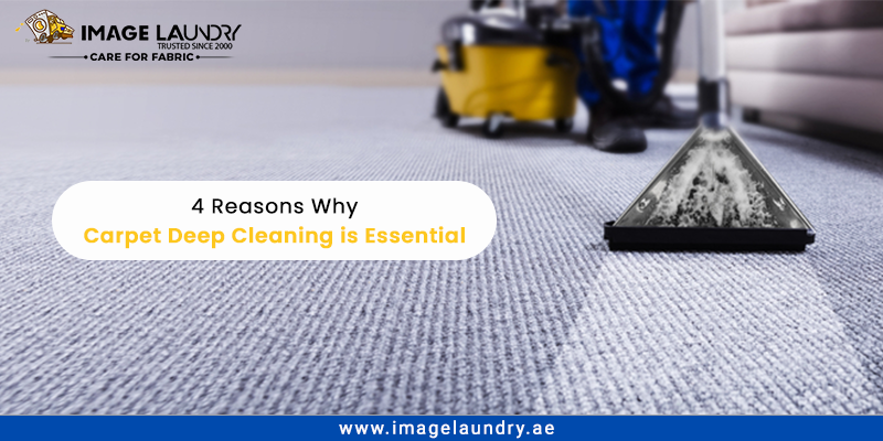 Reasons Carpet Deep Cleaning is Essential